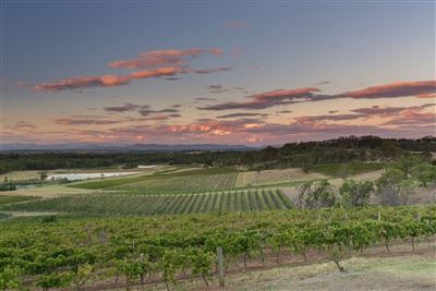 Sonnenuntergang im Hunter Valley